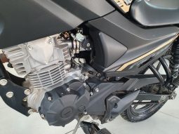 YAMAHA YBR 150 FACTOR ED full